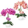 PASCH Set di 2 orchidee artificiali in vasi di ceramica lucida (40 cm), fiori artificiali in vaso, fiori artificiali come veri, orchidee artificiali in vaso, fiori artificiali (rosa chiaro)
