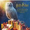 Magazzini Salani Harry Potter. Il calendario dell'Avvento pop-up. Ediz. a colori