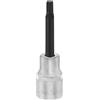 MATADOR Schraubwerkzeuge Matador inserto per cacciavite (Hex), 12,5 (1/2) 4 x 100 mm, 4078 1040