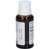 Colocynthis Homaccord Guna Colocynthis-Homaccord 30 ml Gocce orali