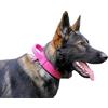 DINGO GEAR WWW.DINGOGEAR.COM 1977 DINGO GEAR Drago - Collare per cani in pelle, ammortizzato, con manico largo e resistente, fatto a mano, circonferenza del collo 56-64 cm, per allenamento e passeggiate, protezione da tiro,