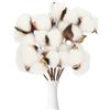 KARELLSCotone Essiccati, 10 Pezzi stelo, Fiori Artificiali in cotone, fiore Steli Floreali, per Decorazioni Casa Ufficio