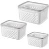 DAWRIS Set di 3 contenitori salvafreschezza per frigorifero, frutta e verdura con coperchio e scolapasta, doppio organizer per frigorifero (grigio)