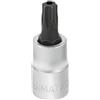 MATADOR Schraubwerkzeuge Matador inserto per cacciavite, per interni Torx con penna, 6,3 (1/4) TR20, 2093 0200