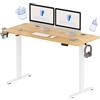 FLEXISPOT Scrivania Regolabile in Altezza, Scrivania Elettrica, Scrivania Regolabile Elettrica, Scrivania da Ufficio e Casa, Standing Desk (140x60cm,Acero)