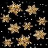 HERZWILD Decorazioni per albero di Natale con fiocchi di neve, 35 pezzi - cristallo acrilico trasparente fiocchi di neve decorazione albero di Natale (champagne)