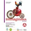 Petrini Immaginaria. Con Percorso nei Promessi sposi. Per le Scuole superiori. Con e-book. Con espansione online (Vol. B)