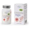 World Health Co. COLESTERINA 60 capsule da 700 mg