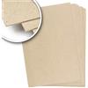 Trashy World Cartone rigido pressato 2,5 mm, 1600 g/m², 26 x 38 cm, per rilegatura, scrapbooking, bricolage, Confezione da 10 fogli (260 x 380 mm)