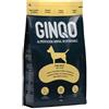 GINQO Cibo Secco per Cani Naturale 3Kg - Crocchette per Cani Ipoallergeniche Monoproteiche con Proteine di Insetti - Mangime per Cani Senza Glutine, Gastrointestinal e Senza Cereali - Cani Adulti