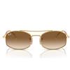 Ray-Ban Occhiali da Sole Ray-Ban RB3719 001/51