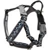 HURTTA PETTORINA HURTTA RAZZLE DAZZLE Y ANTRACITE. 35-45CM