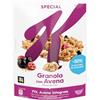 Kellogg's Special K | Gusto Frutti di Bosco | Granola con Avena Croccante, Ribes Nero e Mirtilli | 71% Avena Integrale | Confezione Singola da 320g (1 x 320g)