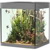 Askoll OPERA AQUARIUM 80 STEEL