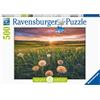 Ravensburger - Puzzle Denti di Leone al Tramonto, 500 Pezzi, Idea regalo, per Lei o Lui, Puzzle Adulti