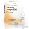 Guna Solanum Compositum 10 Fiale