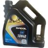 Generico OLIO LUBRIFICANTE MOTORE SIROIL SINT SAE 10W40 API SN/CF A3/B3 A3/B4 4 LITRI SIR13144