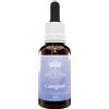Australian Bush Flower Essences Caregiver 30ml