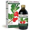 Dr Giorgini Integratore Alimentare, Uva Ursina Estratto Integrale Liquido Analcoolico - 200 ml