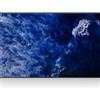 Sony Monitor led 98" Sony Bravia FW-98BZ53L classe E 4K Ultra HD 6.5ms Nero [FW-98BZ53L]
