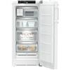 LIEBHERR FNb 425i Congelatore a libera installazione con NoFrost e EasyTwist-Ice