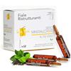 SETA PACK - Fiale Ristrutturanti Capelli Donna - Mineralizzanti al The Verde - Ricostruzione Capelli Danneggiati Risultati in 2 settimane (1 confezione)
