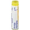 BOIRON BO.ARNICA MONT.Dose MK