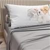 PETTI Artigiani Italiani - Lenzuola Animali con Gatti e Cani in Cotone con Federe in Stampa Digitale, Lenzuola Letto Singolo, Completo Letto Singolo Grigio Chiaro, 100% Made in Italy
