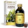 Dr Giorgini Integratore Alimentare, Ginepro Gemmoderivato Concentrato Liquido Analcoolico - 100 ml