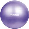 TOORX PALLA GINNICA 75 CM da Ginnastica