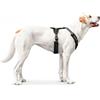Hunter Pettorina Maldon in Neoprene Nero/Grigio - XS-S