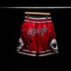 PANTALONCINI/SHORTS ADULTO CON TASCHE-BASKET-NBA CHICAGO BULLS-MICHAEL JORDAN