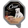 Cesar Junior Vaschette Tacchino e Vitello Umido per cane - 28 x 150 g