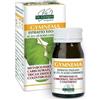 GYMNEMA ESTRATTO TIT 60PAST