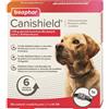 BEAPHAR Canishield L 65 cm BEAPHAR Collare per cani con deltametrina