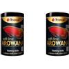 Tropical Soft Line AROWANA Size XXL 1000ml / 320g - Mangime esaltatore del Colore per arowana Adulti (Confezione da 2)