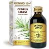 Dr Giorgini Integratore Alimentare, Cedro del Libano Gemmoderivato Concentrato Liquido Analcoolico - 100 ml