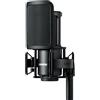 Shure SM4 Studio Recording Microphone Kit, XLR Home Studio Condenser Mic Optimized for Soft Vocals to Loud Instruments with Mix-Ready Audio All-Metal Construction (SM4-K-KIT)