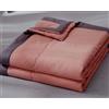 Hoowarm Trapunta Estivo 150x200 200x200cm Piumone Cotone Copriletto Matrimoniale/Singolo Una Piazza E Mezza Leggera Consolatore 4 Stagioni Condizionamento D'Aria Trapuntato Morbido Coperta(E,200x220cm/78x86in