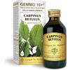 Dr Giorgini Integratore Alimentare - Gemmoderivato di Carpino Bianco (Carpinus Betulus) - 100ml