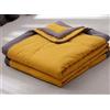 Hoowarm Trapunta Estivo 150x200 200x200cm Piumone Cotone Copriletto Matrimoniale/Singolo Una Piazza E Mezza Leggera Consolatore 4 Stagioni Condizionamento D'Aria Trapuntato Morbido Coperta(D,170x200cm/67x78in