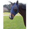 Equitazione