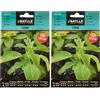 Semillas Batlle Battle - Semi Aromatici Stevia (Semi - 50Cm) (Confezione da 2)