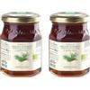 Agrisicilia Miele Di Melata Da Agricoltura Biologica - 300 g (Confezione da 2)