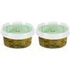 Natura d'Oriente - Finocchiella selvatica fiore 25g, (Finocchietto), ITALIA (Confezione da 2)