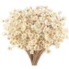 Larber 300 pezzi fiori secchi brasiliani bianchi piccoli fiori stellati secchi mini bouquet di fiori secchi margherite mini camomilla per composizione floreale matrimonio 300 pezzi Star Dried Flower