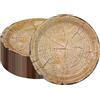 CEILIWEN Piatti con Venature del Legno, 50 Pezzi Rustici da 22,9 cm, Usa e Getta per Feste, Rotondi per Fattoria (Grana del Legno 02)