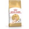 Royal Canin Sphynx Adult - Sacchetto da 2kg.