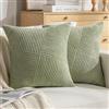 DecorMommt Federe Cuscino Divano 50x50cm Erba Verde Morbido Velluto a Coste Copricuscini Divano Lusso set di 2 Quattro Stagioni Copri Cuscini per Decorazione del Ufficio Auto Divano Sedia