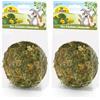 JR FARM Fieno-cucciolina dente di leone 75 g (Confezione da 2)